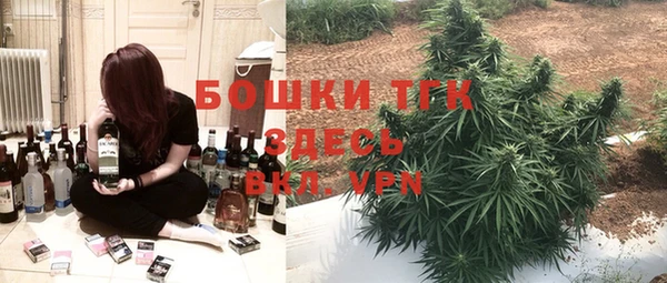 гидра Верхний Тагил
