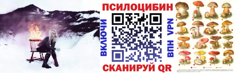 Псилоцибиновые грибы Psilocybe  Голицыно 